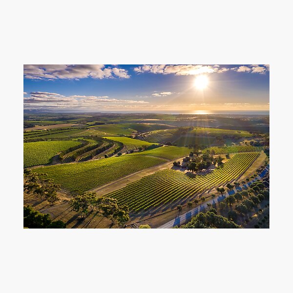 Item preview, McLaren Vale designed and sold by duydash.
