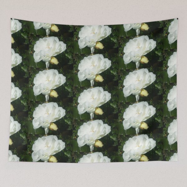 Item preview, *Iceberg Rose - Spring 2016 - my Garden* designed and sold by EdsMum.