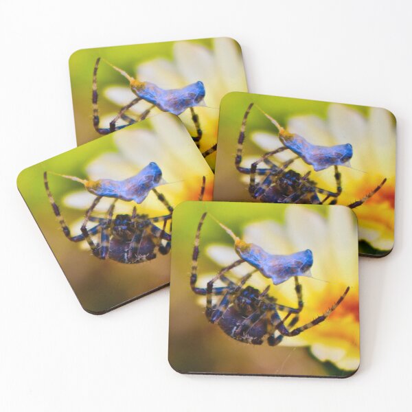 Item preview, European Garden Spider wrapping up its Dinner! designed and sold by Mickangelhere.