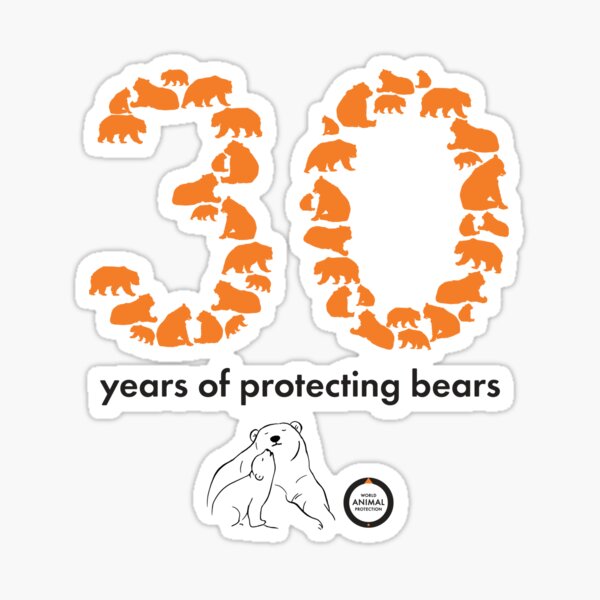 30 years of bears - 2nd design Sticker