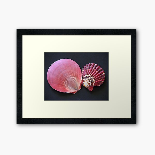 Scalloped Framed Art Print