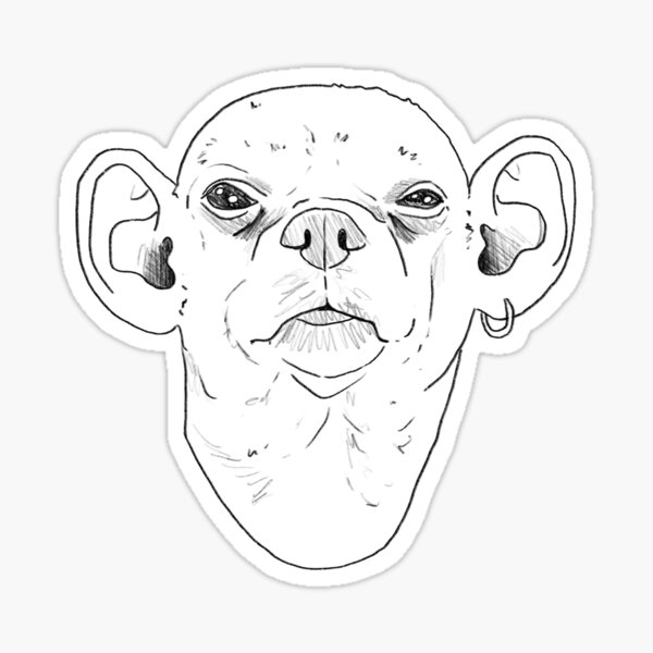 "Dog Ear" Sticker for Sale by waterrrboy Redbubble