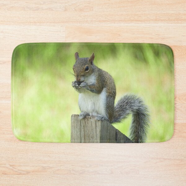 Item preview, Cute Squirrel #0009 designed and sold by Jeffrey Mask.