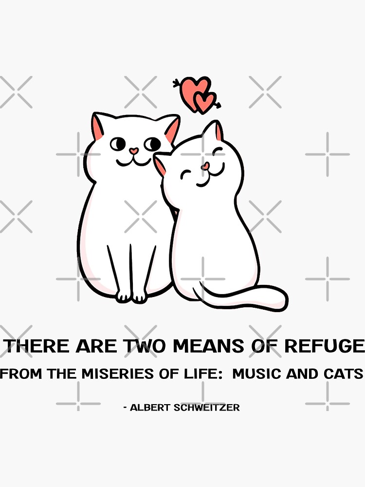 "hug your cat day" Sticker for Sale by miloudtv Redbubble