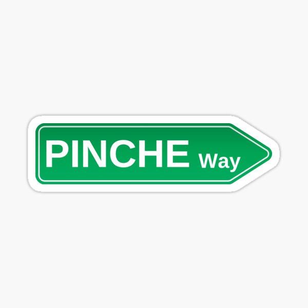 Item preview, FUNNY STREET SIGN WITH MEXICAN SLANG PINCHE WAY designed and sold by appareltolove.