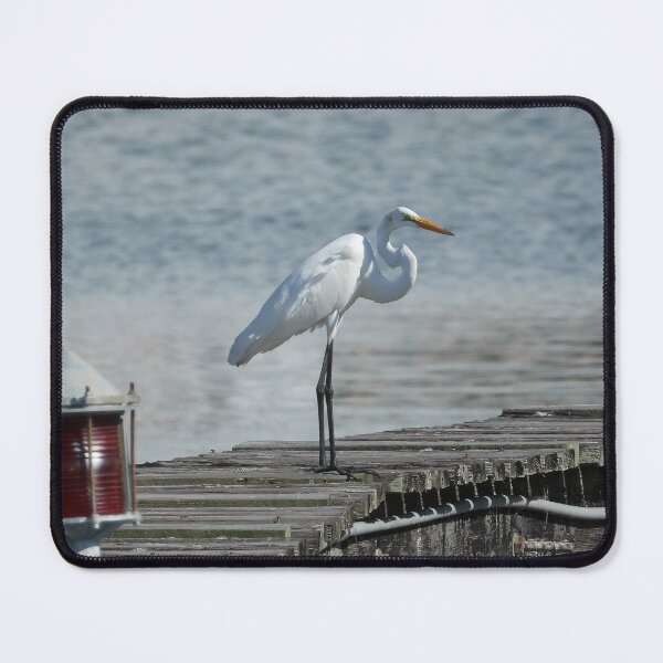 Item preview, Great Egret on the pier designed and sold by Jeffrey Mask.