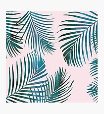 Green Palm Leaves on Light Pink Photographic Print