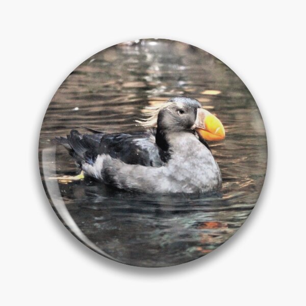 Item preview, Crested Puffin Looking Fierce designed and sold by Martha Sherman.
