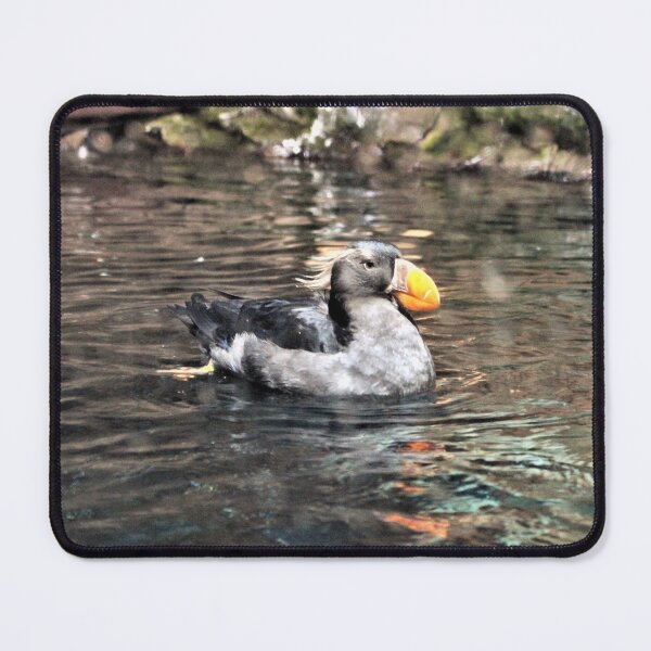 Item preview, Crested Puffin Looking Fierce designed and sold by Martha Sherman.