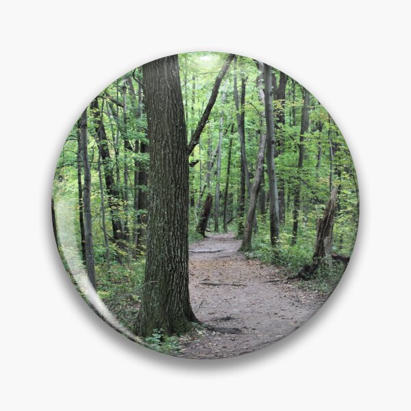 Item preview, Path in Devil's Lake State Park designed and sold by Martha Sherman.