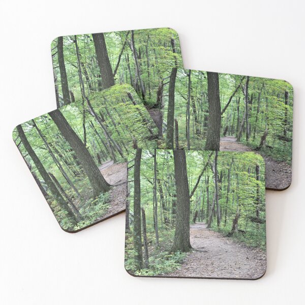 Item preview, Path in Devil's Lake State Park designed and sold by Martha Sherman.