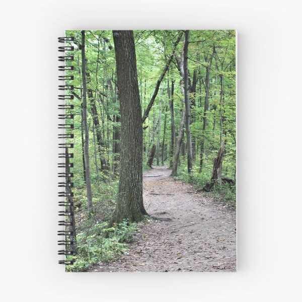 Item preview, Path in Devil's Lake State Park designed and sold by Martha Sherman.