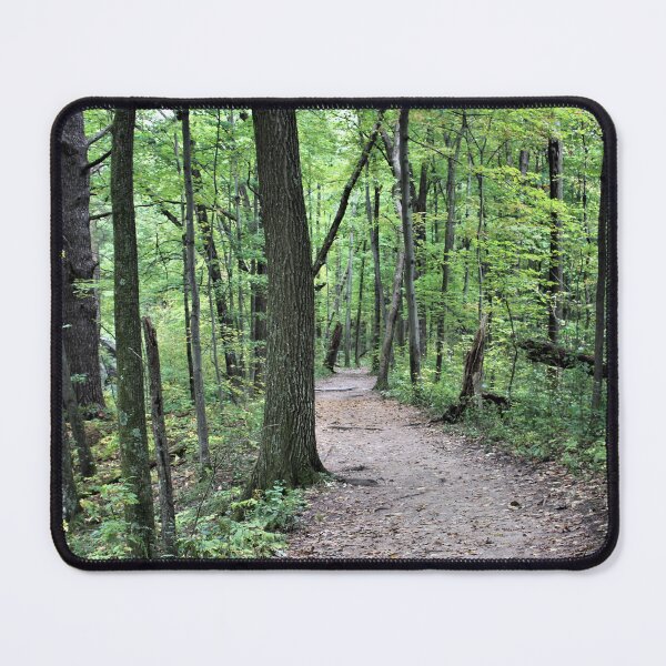 Item preview, Path in Devil's Lake State Park designed and sold by Martha Sherman.