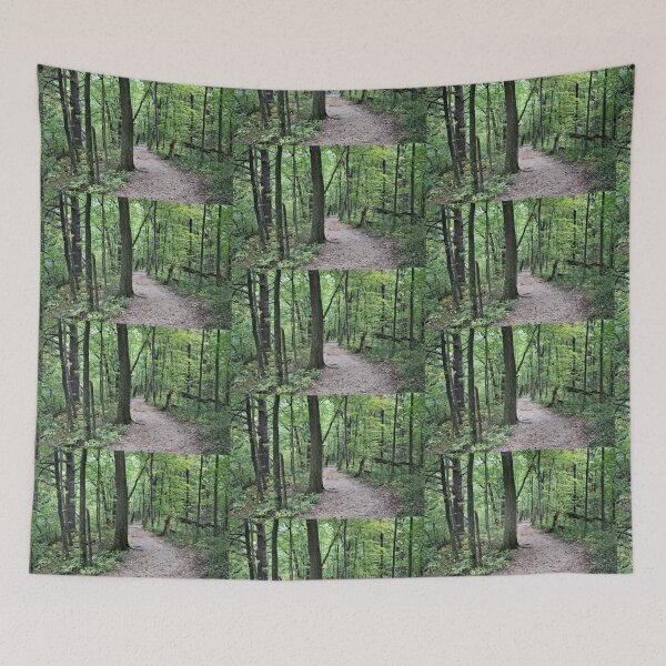 Item preview, Path in Devil's Lake State Park designed and sold by Martha Sherman.