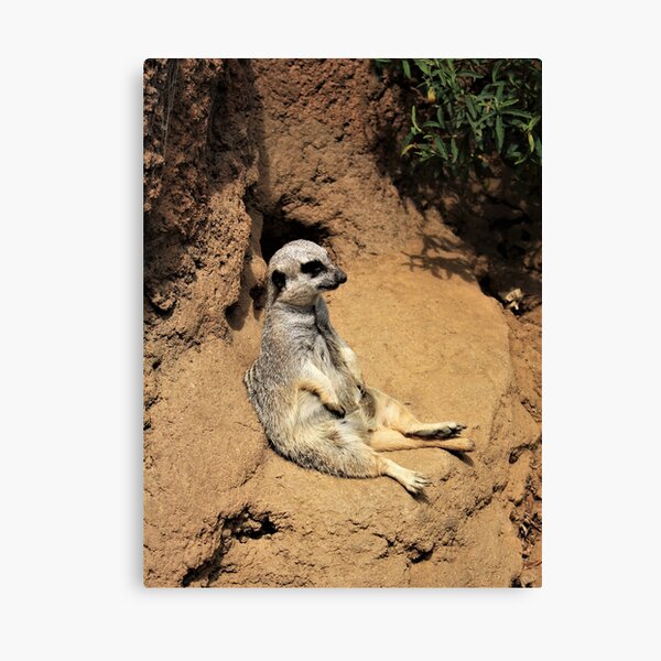 Item preview, Just Chillin' Meerkat designed and sold by Martha Sherman.