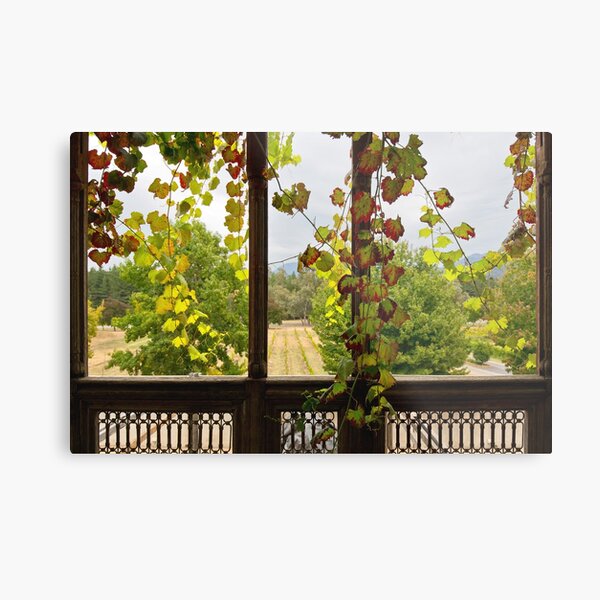 0052 Autumn window Metal Print