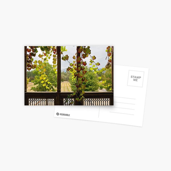0052 Autumn window Postcard