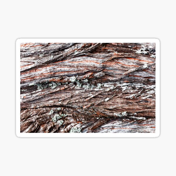 Item preview, Harsh Dry Moss Growth designed and sold by textural.