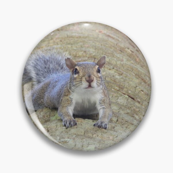 Item preview, Cute Squirrel #0006 designed and sold by Jeffrey Mask.