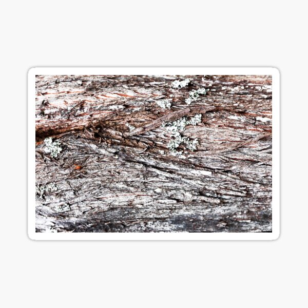 Item preview, Harsh Dry Moss Growth - Alternative designed and sold by textural.