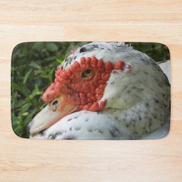 Item preview, Muscovy Duck #0001 designed and sold by Jeffrey Mask.