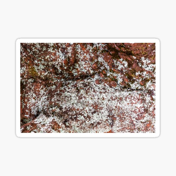 Item preview, Worn Speckled Moss Decay designed and sold by textural.