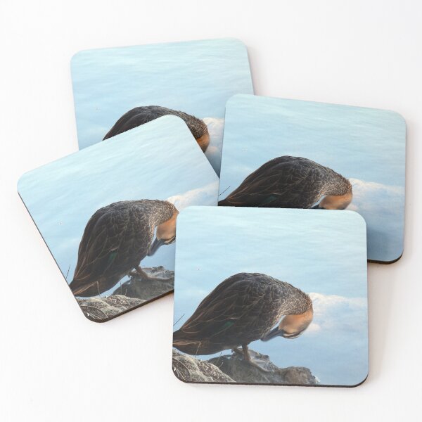 Item preview, Ducking designed and sold by Harrison Lucas.