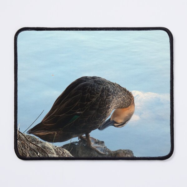 Item preview, Ducking designed and sold by Harrison Lucas.