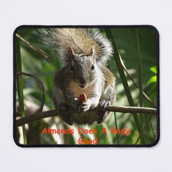 Item preview, Almonds does a body good. designed and sold by Jeffrey Mask.