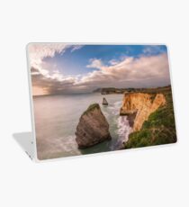 Freshwater Bay Panorama Laptop Skin