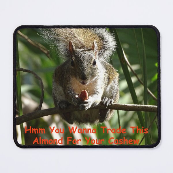 Item preview, Squirrel Trade designed and sold by Jeffrey Mask.