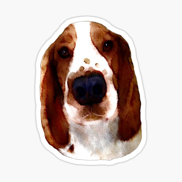 Item preview, Welsh Springer Spaniel Art  designed and sold by Karen Harding Art and Illustration .