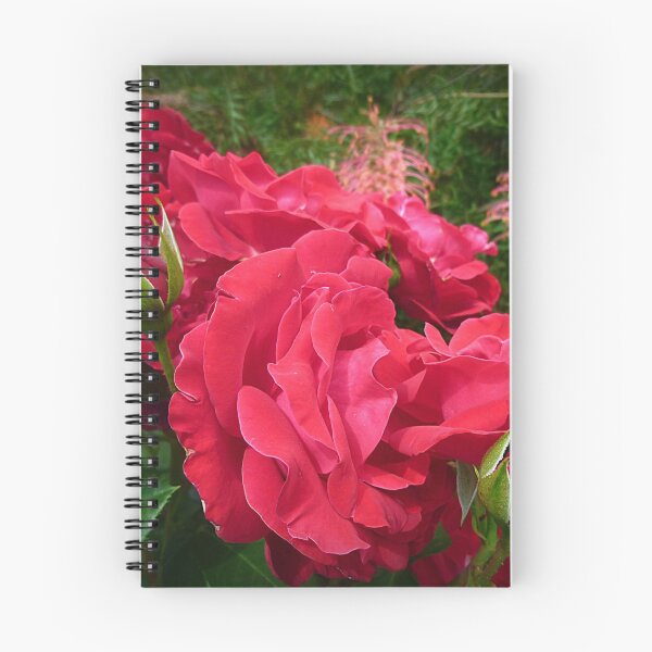 Artikelvorschau, * Kardinal - Rote Rose - Garten 2015 * entworfen und verkauft von EdsMum.