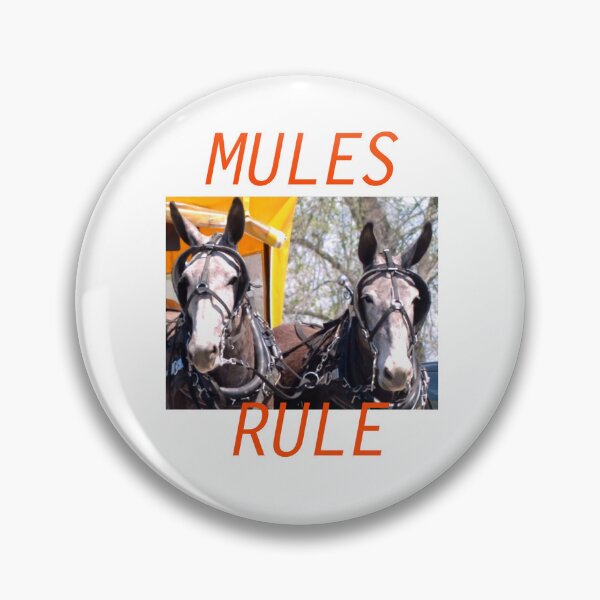 Aperçu de l'œuvre Columbia Tennessee Mule Days créée et vendue par JordanSSeay.