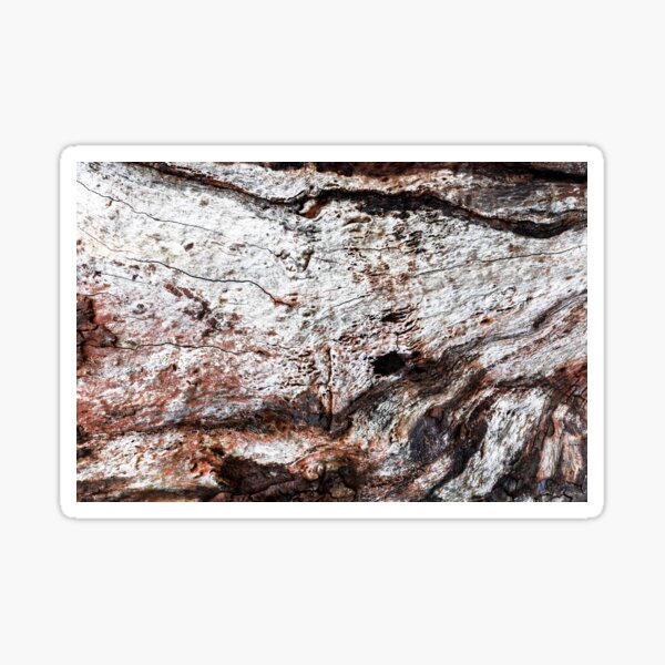 Item preview, Ancient Hardwood Engraving - Alternative I designed and sold by textural.