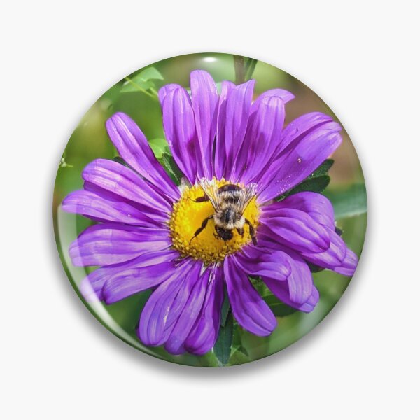 Item preview, Bee and Daisy designed and sold by LadyKandis.