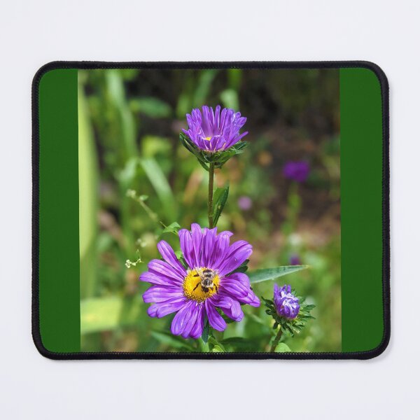 Item preview, Bee and Daisy designed and sold by LadyKandis.