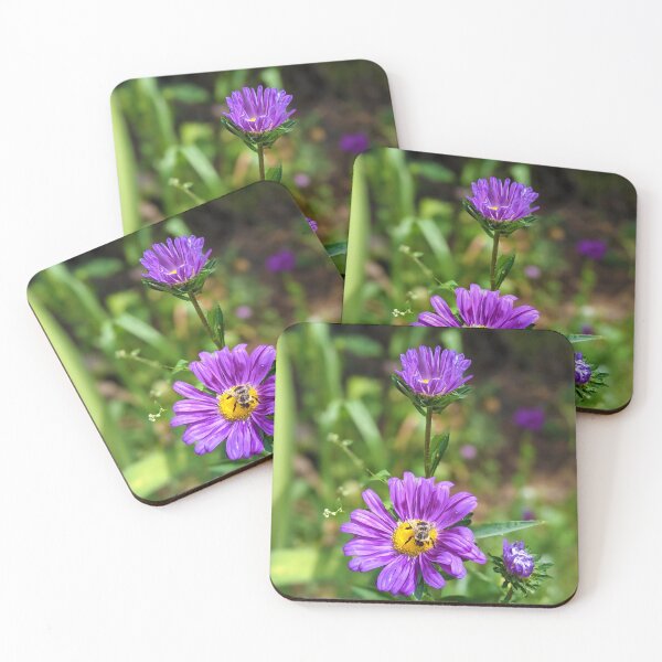 Item preview, Bee and Daisy designed and sold by LadyKandis.