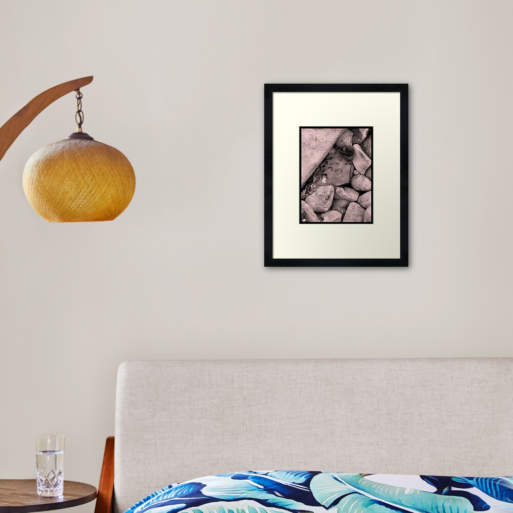 Item preview, Framed Art Print designed and sold by ronmoss.