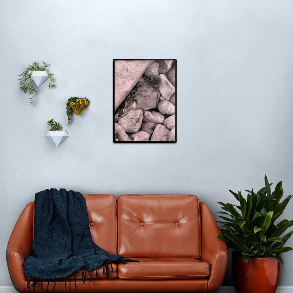 Rock Kelp Metal Print