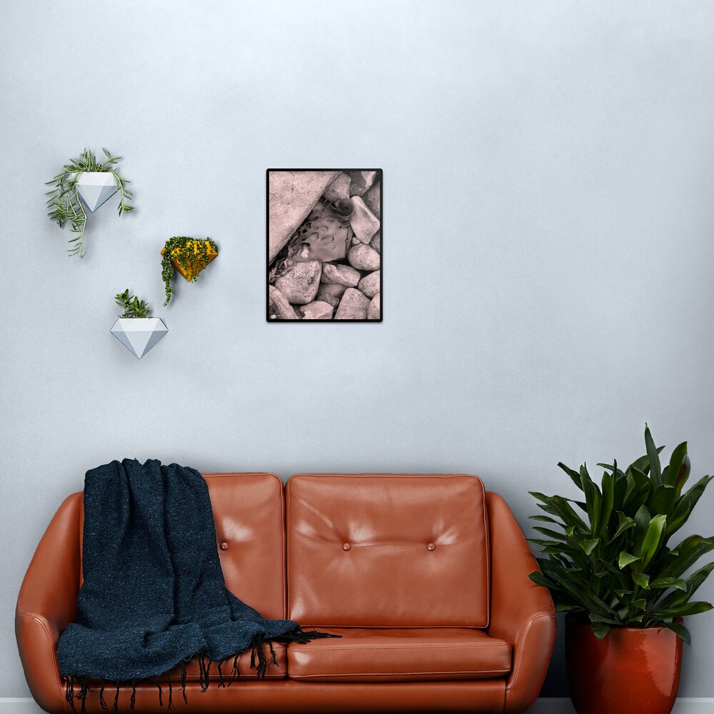 Rock Kelp Metal Print