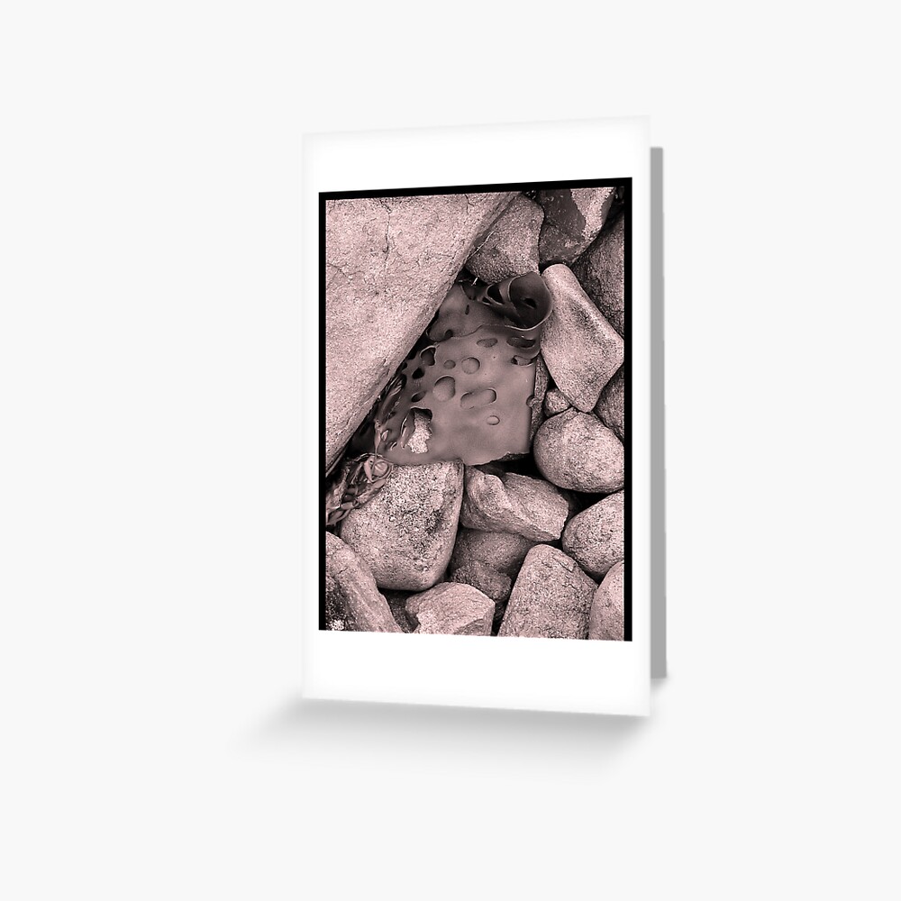 Item preview, Greeting Card designed and sold by ronmoss.
