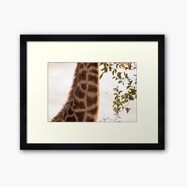 What's the weather like up there..? Framed Art Print
