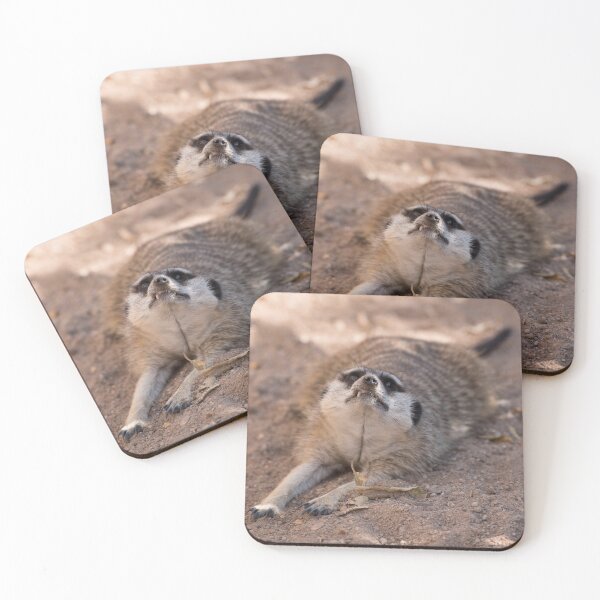 Item preview, Meerkat Sneer designed and sold by James Stone Photography.