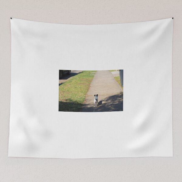 Item preview, On a Walk designed and sold by itzukissme.