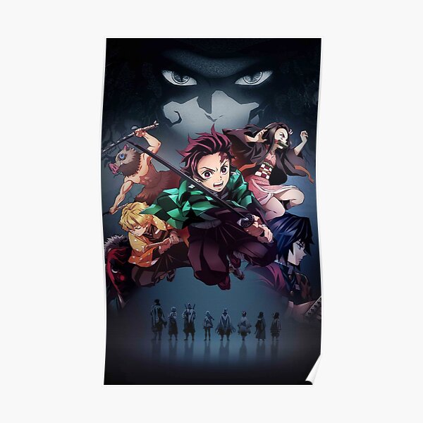 DS Poster