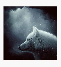 Wolf Fotodruck