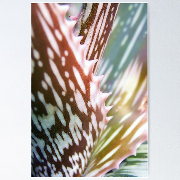 Item preview, Mosaic designed and sold by Andi Hardwick.