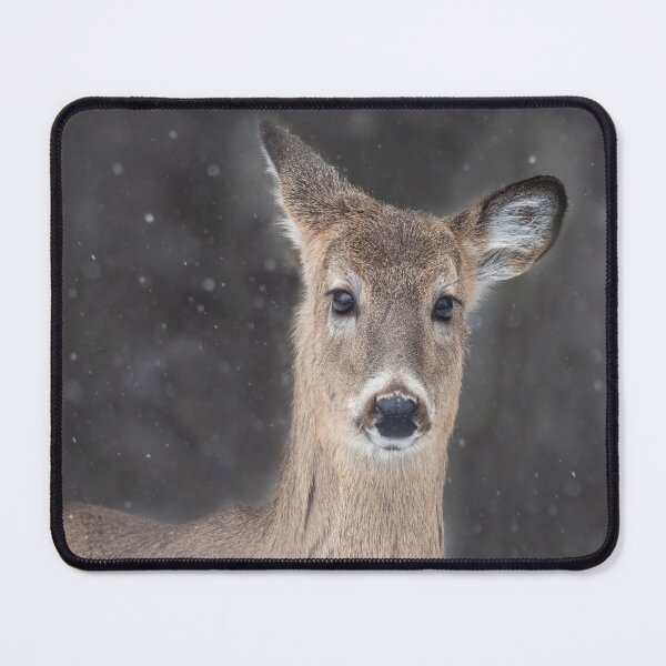 Item preview, Night of the White-tailed Deer designed and sold by TheCurators.