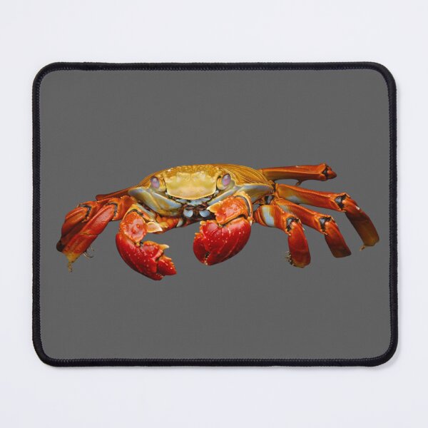 Item preview, King Crab designed and sold by RainbowSpinkle.